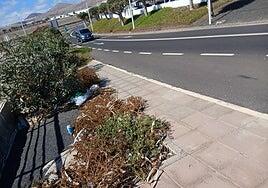 La recuperación de las zonas verdes del aeropuerto tardará semanas