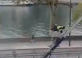 Difunden un vídeo de la huida de los ladrones del Louvre: «Joder, llega la Policía»