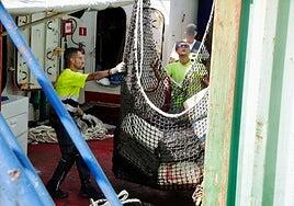 Golpe al narcotráfico: incautan 4.000 kilos de cocaína en un mercante frente a Canarias