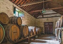 Programa de Santa Brígida con Vinos 2025: horario y fechas de actividades