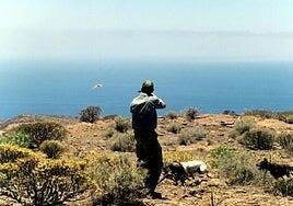 Cinco días más de caza con perro y hurón y tres para cetrería en Gran Canaria