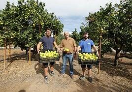 Una cosecha de naranjas en Telde cargada de sentimiento