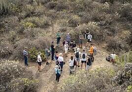 El vértigo de la verdad: Gran Canaria se asoma a la justicia histórica en la Sima de Jinámar