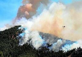 Piden dos años y nueve meses de cárcel para el presunto autor del gran incendio de Artenara de 2019