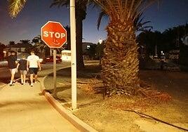 3,89 millones de euros para cuidar zonas verdes y jardines de Teguise