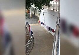 Vive a sus anchas en las Alcaravaneras