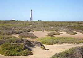 El confinamiento obligatorio de aves de corral solo se aplica en Pájara