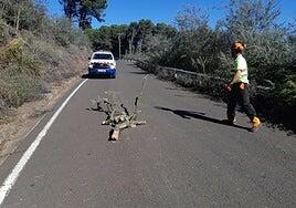 El Cabildo de Gran Canaria cierra preventivamente varias carreteras en Tejeda, Artenara y Ayacata