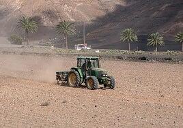 Siembra para favorecer la supervivencia de las especies cinegéticas