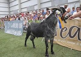 Feaga 2026 ya tiene fecha: del 16 al 19 de abril