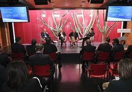 La central flotante en el puerto «no tiene mucho sentido»