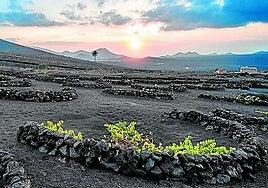 Nuevo paso para sacar el Plan Especial de La Geria