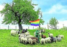 Las ovejas gais están de moda