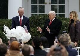 Ni los pavos se salvan con Trump