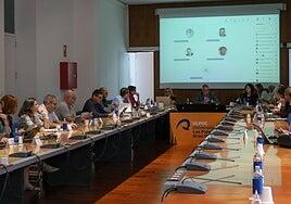 La Ley de Consejos Sociales de Canarias, al Constitucional por invadir la autonomía universitaria