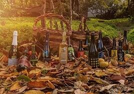 Las sidras de Valleseco se coronan en el Concurso Internacional del Sagrado Forum