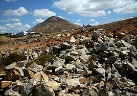 Constancia, administración ágil y decisiones honestas