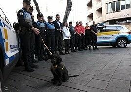 Cortes de calles y cambios de sentido. Así será el dispositivo de tráfico de Las Palmas de Gran Canaria en Navidad