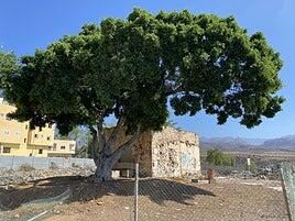 Una inversión de casi 188.000 euros rehabilitará la Casa del Mato, en El Tablero