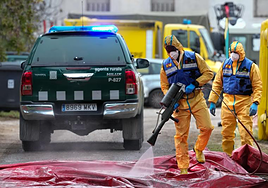 Agricultura investiga si el virus de la peste porcina salió de un laboratorio experimental