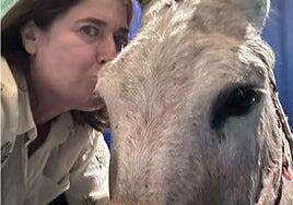 «Si mi burrito está luchando por vivir, yo tengo derecho a luchar con él»