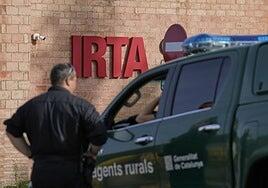 La Generalitat ordena una auditoría de los laboratorios que trabajan con el virus de la peste porcina