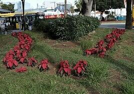 Los ladrones de pascuas cumplen con su tradicional robo navideño en Las Palmas de Gran Canaria