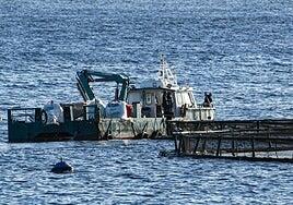 El comité del Plateca acordó encargar la inspección del fondo de las jaulas marinas