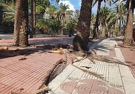 Emilia, nueva empleada