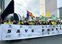 ASPROCAN se suma a la protesta europea en Bruselas para exigir la continuidad de los programas agrícolas de las RUP de la Unión Europea y «mismas reglas para un mismo mercado» frente a la competencia desleal