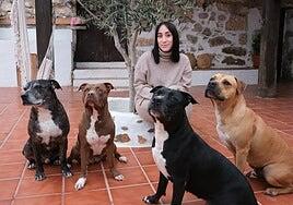 «Mis perros son mi familia»: el grito por un veterinario de guardia en Fuerteventura