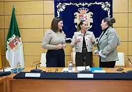 El Cabildo de Fuerteventura gastará más de 183 millones de euros durante 2026