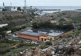 Telde asegura que el agua tratada que llega al mar cumple la normativa