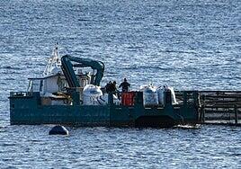 Aquanaria pide celeridad en la investigación del origen de la contaminación marina