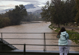 Hallan sin vida a uno de los dos desaparecidos tras ser arrastrados por la corriente en Málaga a causa del temporal