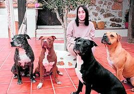«Mis perros son mi familia»: demanda por un servicio de guardia veterinaria