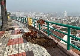 La Aemet enciende los avisos en todas las islas por el impacto de la borrasca Francis en Canarias en pleno Año Nuevo