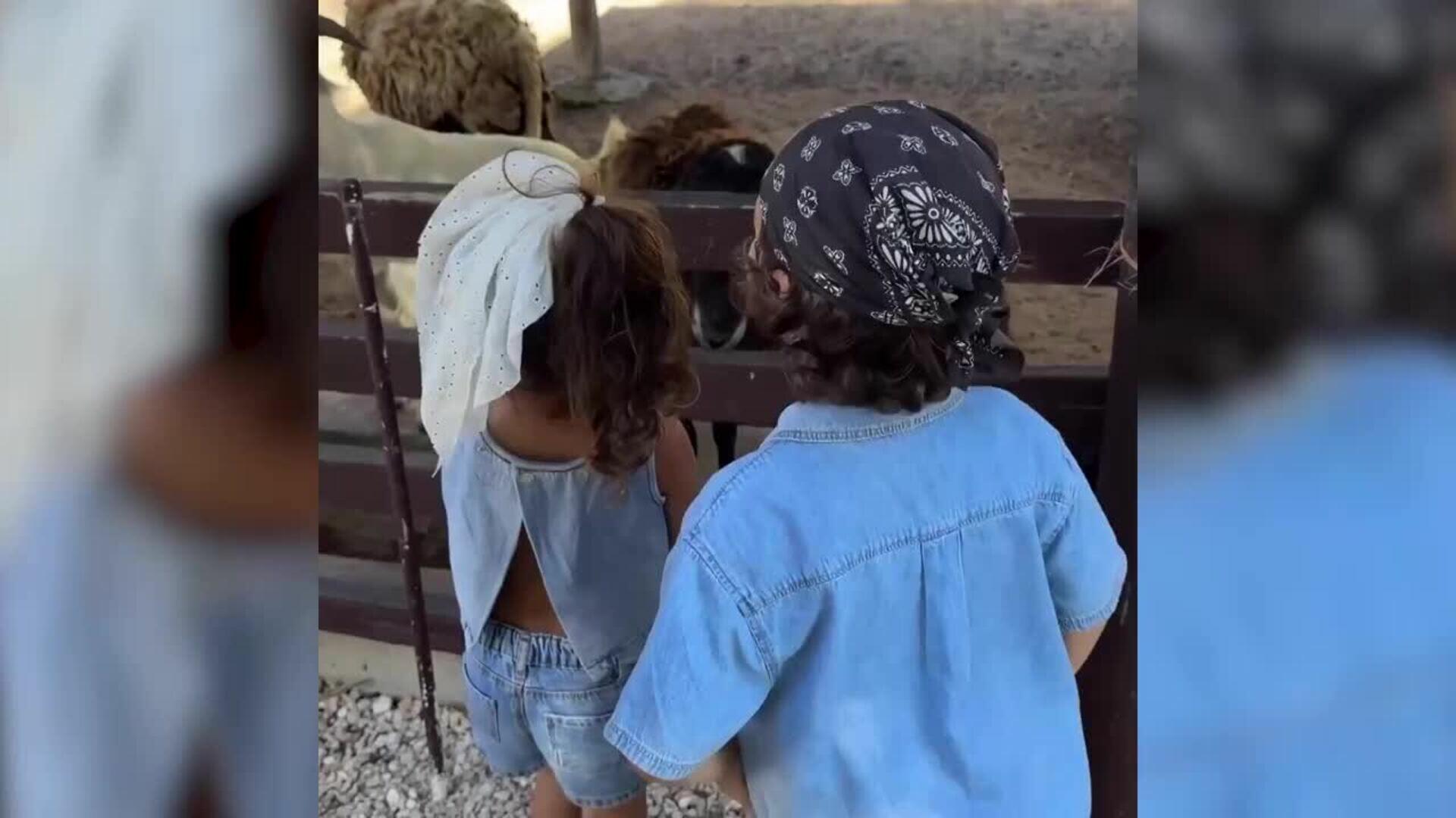 El viaje favorito de Rosanna Zanetti, David Bisbal y sus pequeños