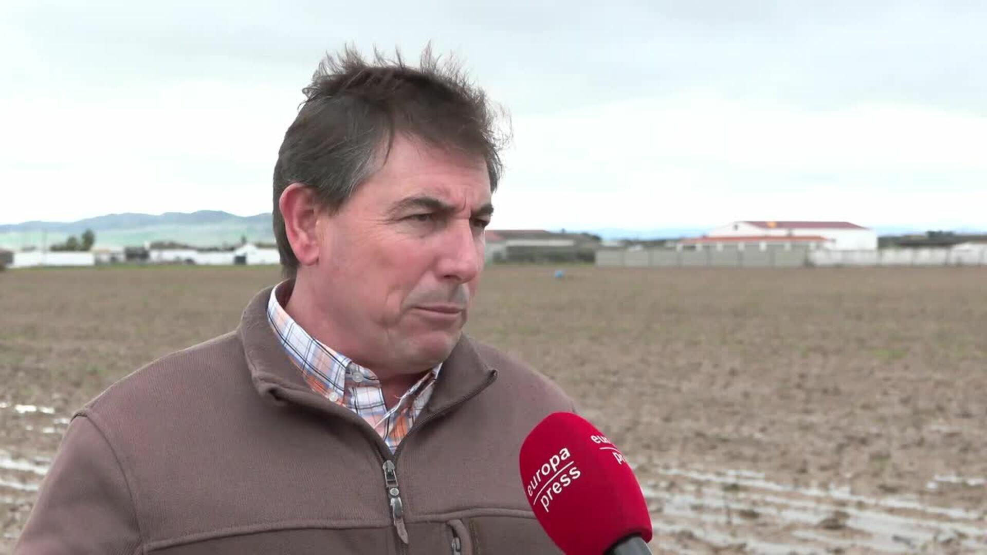 Agricultor señala que las lluvias garantizan agua pero "están retrasando" las labores agrícolas