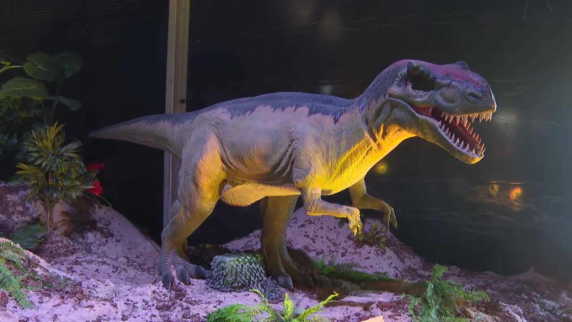 Productores de Sonrisas presenta en Madrid exposición interactiva de dinosaurios con 6.000m2