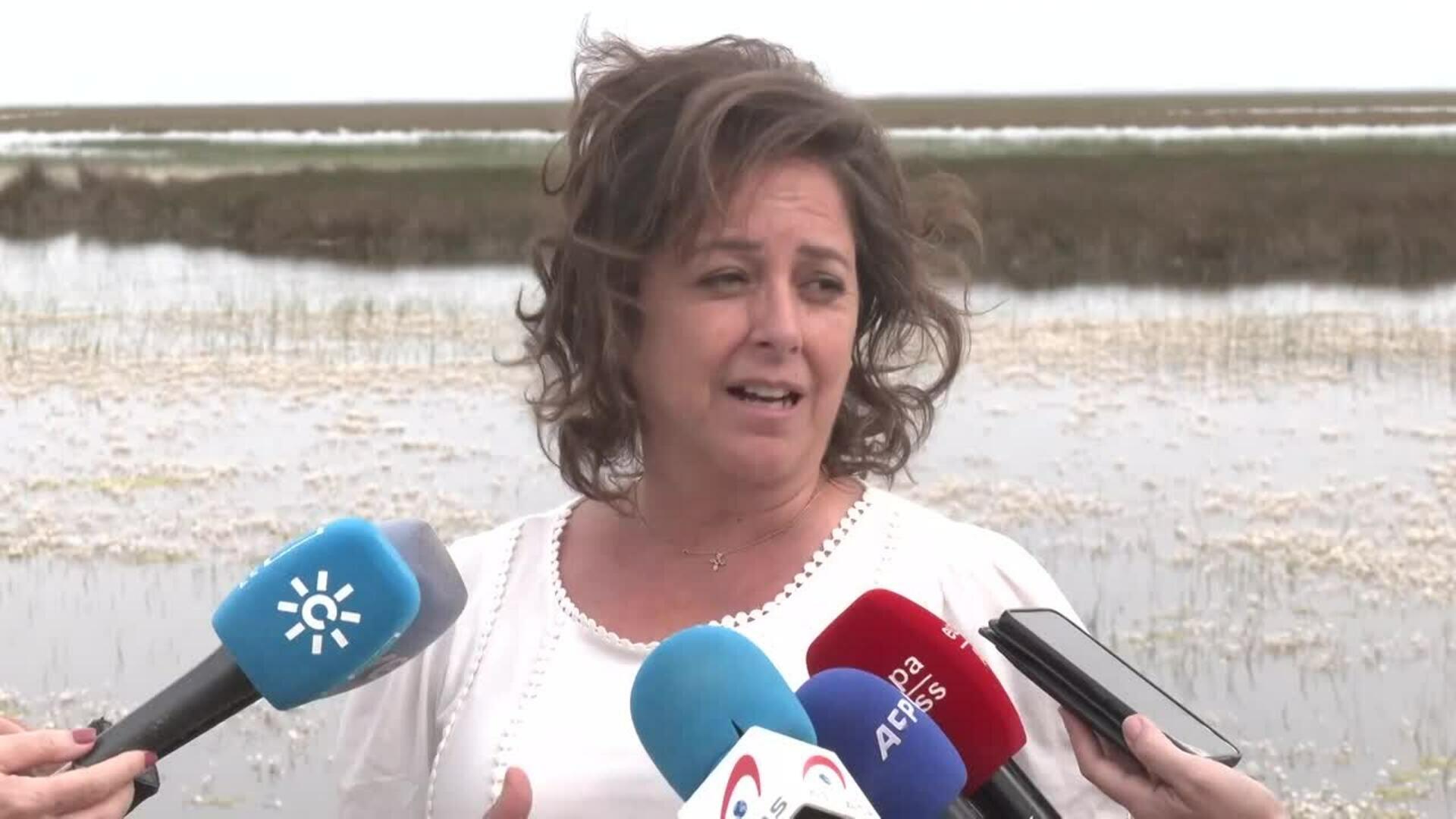 Junta confía en próximas lluvias para revitalizar Doñana: "Cada gota suma en su recuperación"