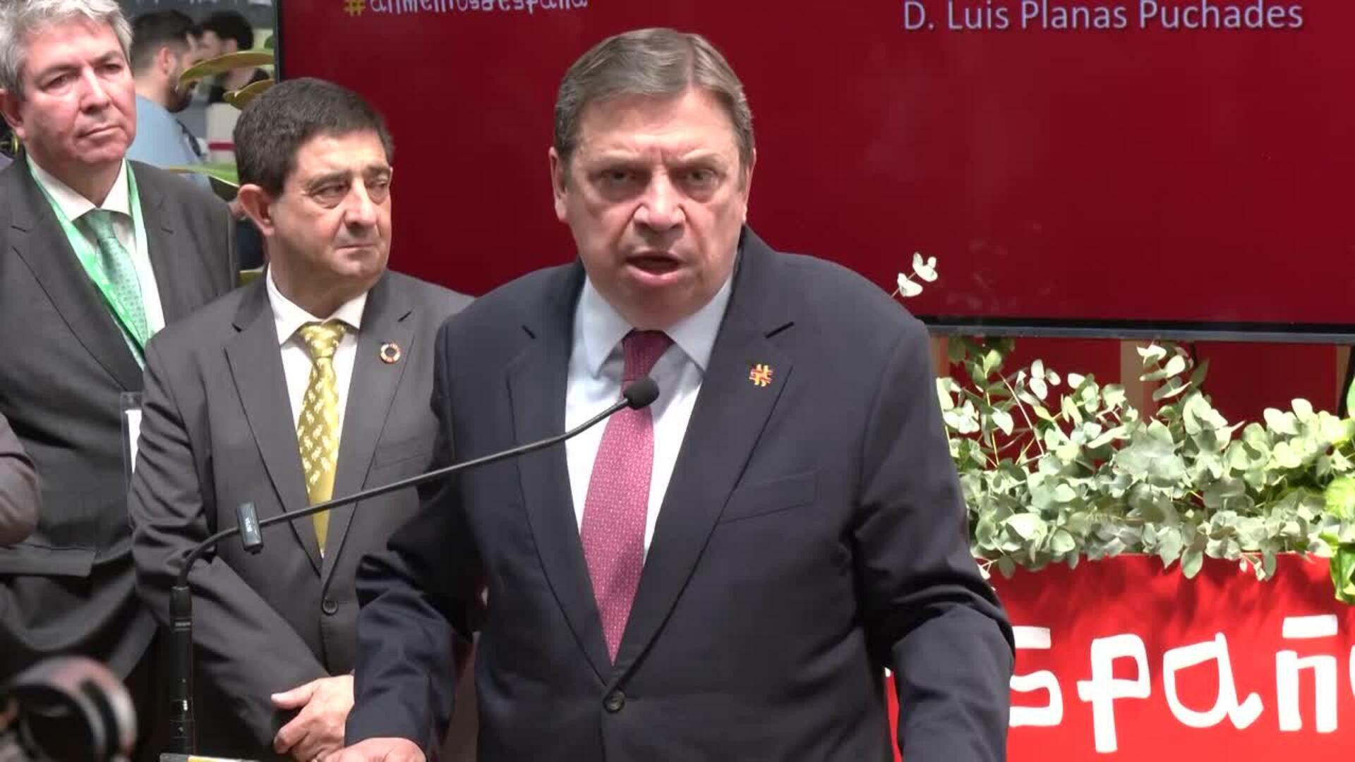 Planas plantea comercializar cuatro millones de toneladas de aceite de oliva antes de 2040