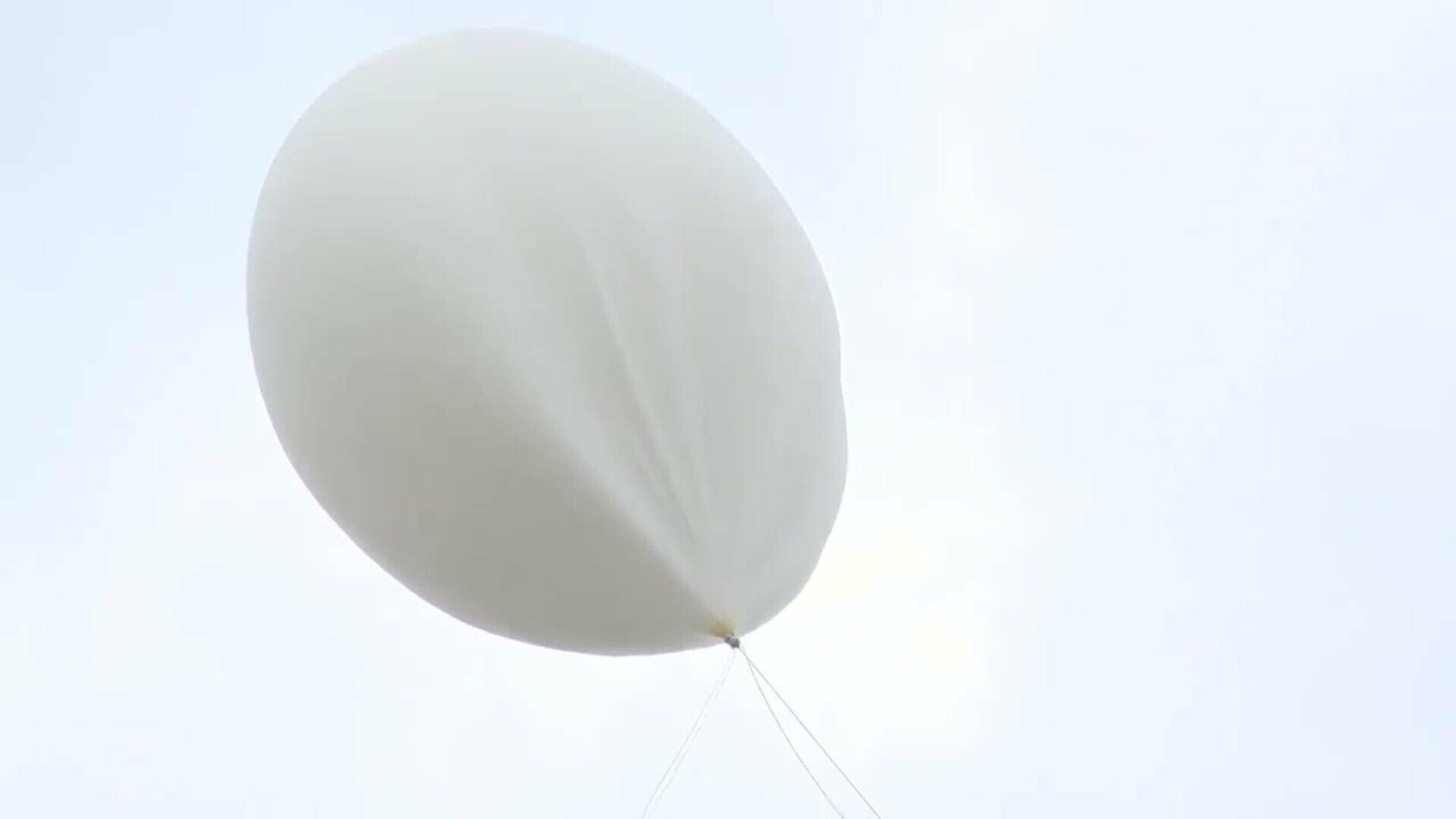 Siete centros educativos gallegos lanzan una cápsula al espacio para recoger datos biológicos