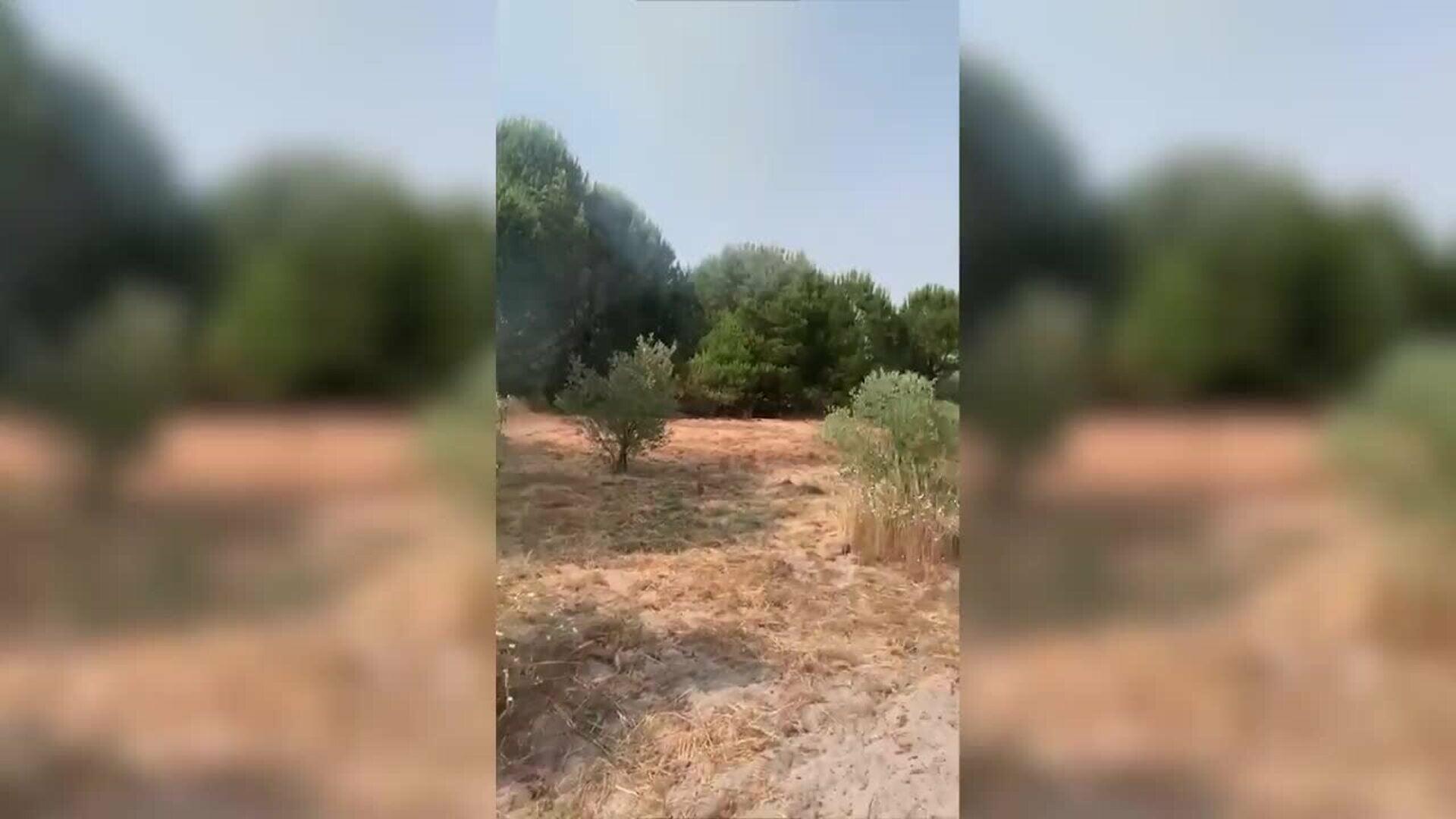 Nuevo incendio eleva a ocho los fuegos en Lucena (Huelva) desde el 29 de mayo