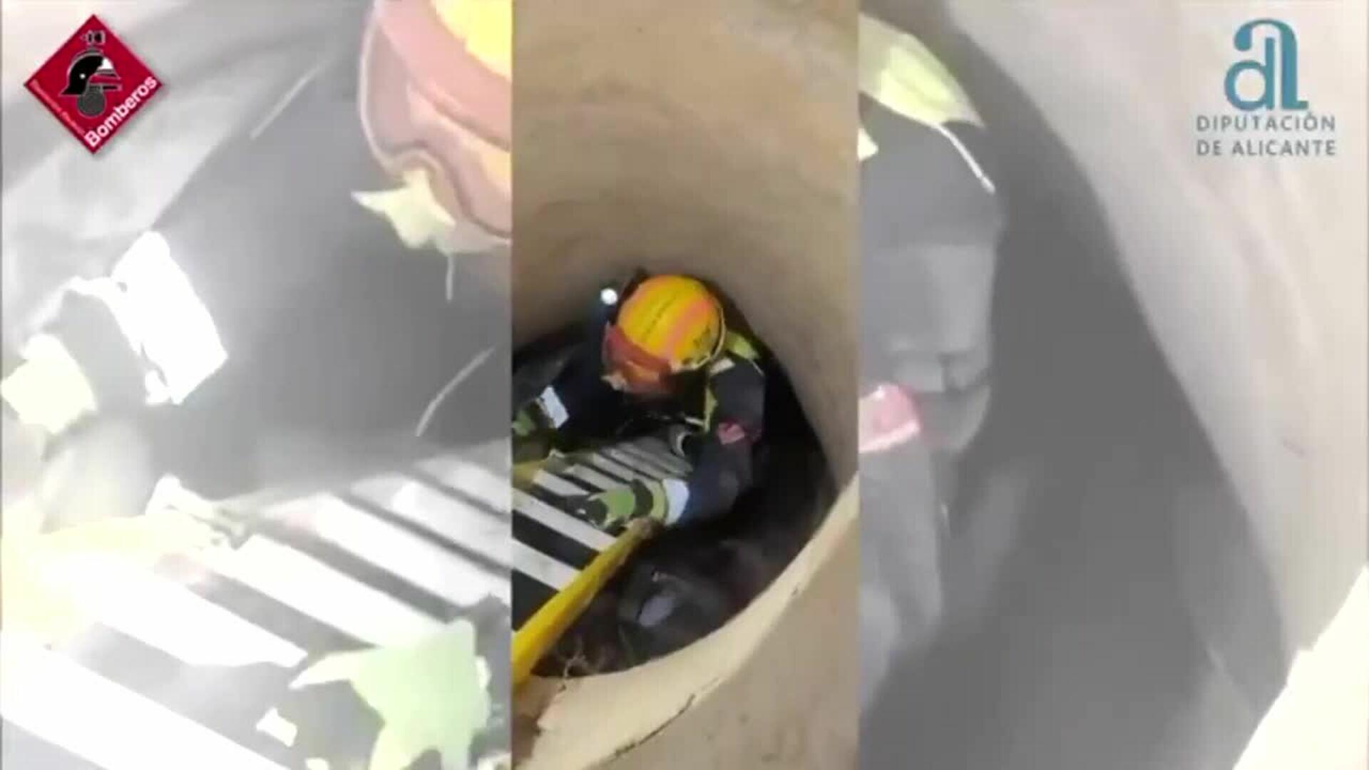 Bomberos rescatan a un zorro atrapado en un pozo de cuatro metros de profundidad en Monóvar