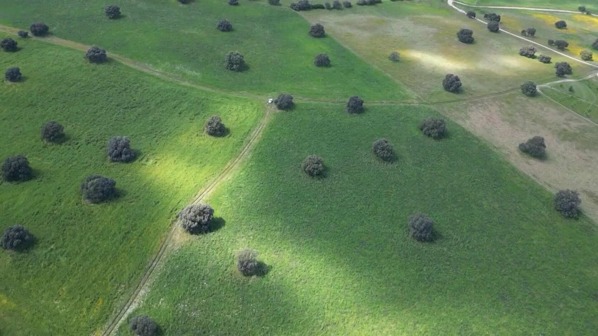 Dehesa El Milagro impulsa su modelo ecológico desde Alcañizo hacia el comercio online y grandes supe