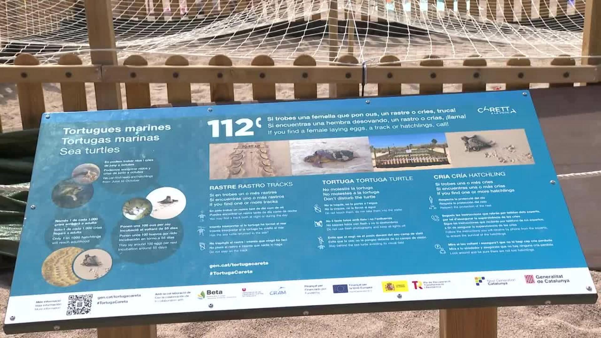 Voluntarios vigilan los 101 huevos que puso una tortuga en la playa de Girona