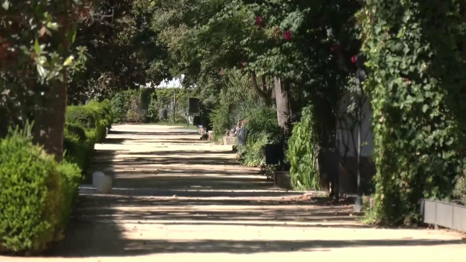 Sevilla decreta el preventivo del Parque de María Luisa tas el hallazgo de patos muertos