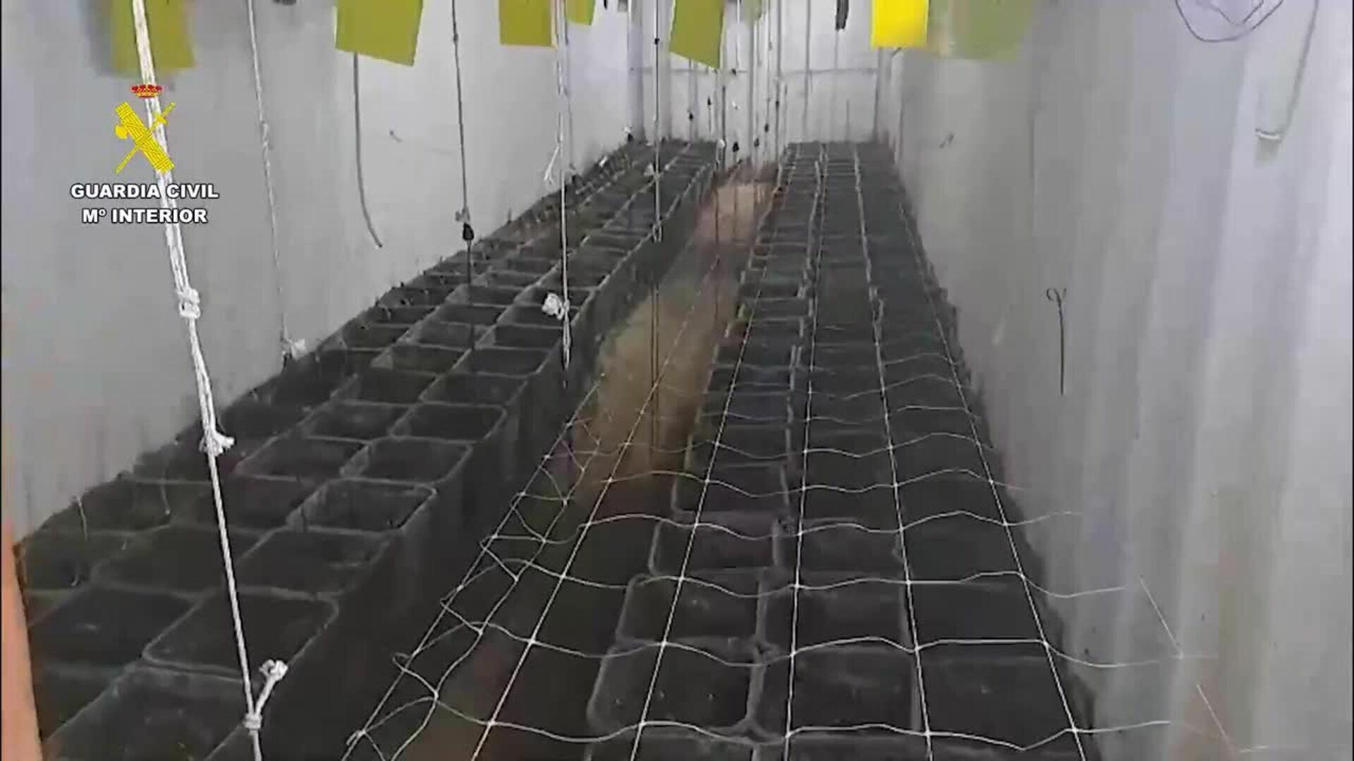 Hallan plantación de marihuana en contenedores enterrados bajo una explotación avícola