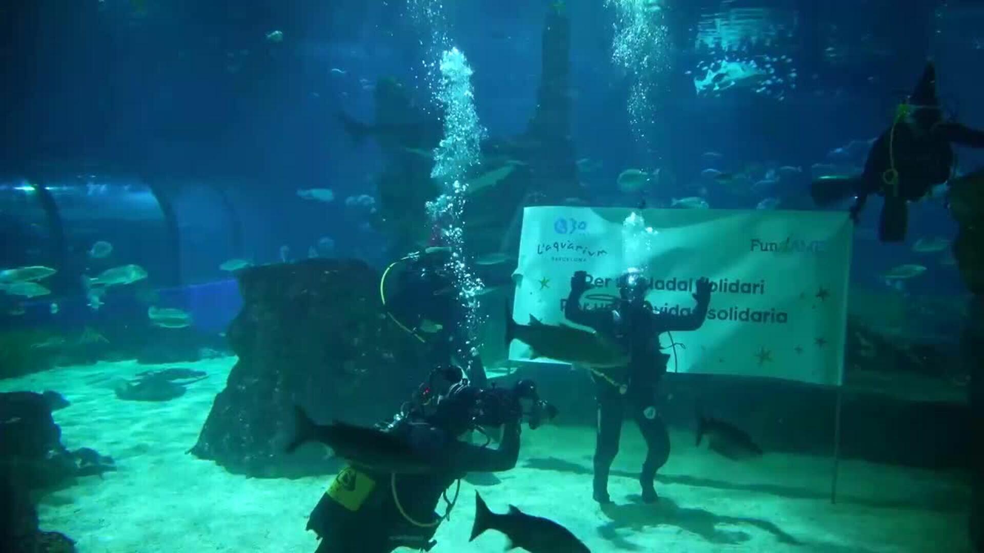 Àngel Llàcer protagoniza el baño solidario de L’Aquàrium en el cierre de su 30 aniversario